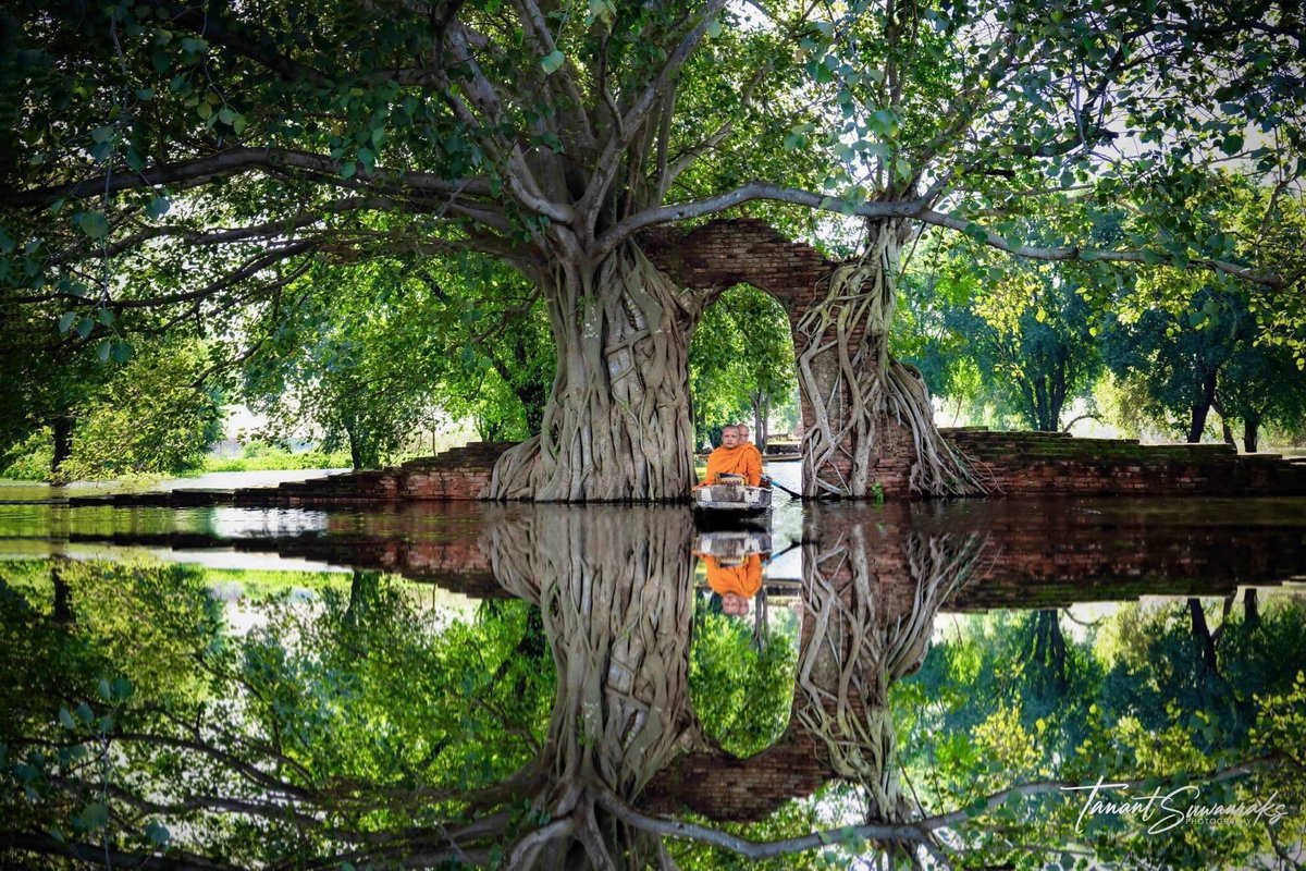 Up_To_OiL's tweet image. "ประตูแห่งกาลเวลา" จ.พระนครศรีอยุธยา
ที่ วัดพระงาม ประตูแห่งกาลเวลาถูกน้ำท่วมสูงเกือบถึงอก พระสงฆ์ต้องพายเรือบิณฑบาต ทำให้ซุ้มประตูเก่าแก่ที่ถูกรากโพธิ์ปกคลุมดูงามแปลกตา เป็นภาพที่ไม่ได้เห็นบ่อยนักหากไม่เกิดเหตุการณ์น้ำท่วม (Cr.พระกฤตยะ)