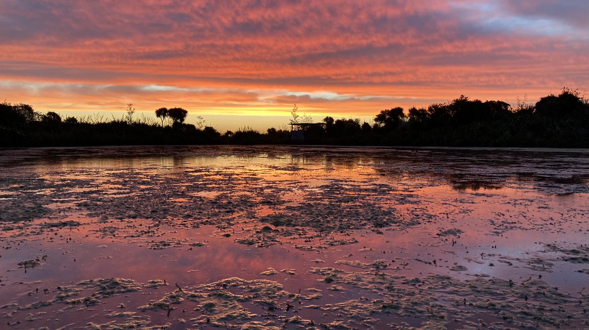 SurferColin's tweet photo. Such a stunning sunset tonight #sunset #sunsetphotography #cloud #cloudsunset #NewZealand https://t.co/aIx7C4hgO4