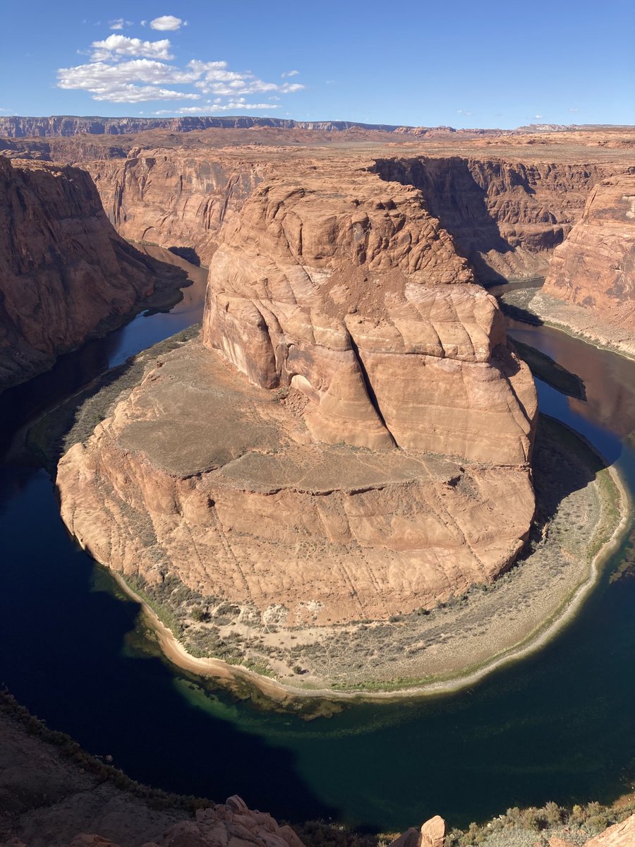 Chris Shead QPM tweet media