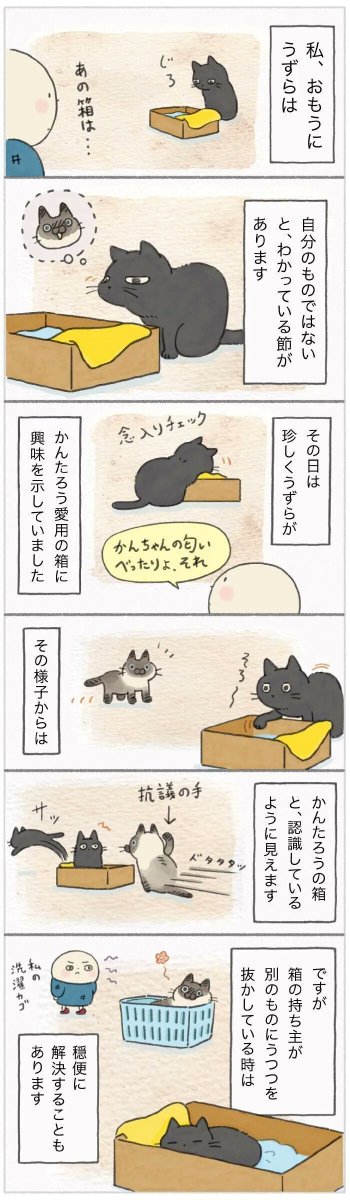 自分のベッドでなくとも、つい"くんくんチェック"&拝借してしまう猫【連載】ねこ連れ草 199話め|ねこのきもちWEB MAGAZINE https://t.co/10WfWY5yMw 