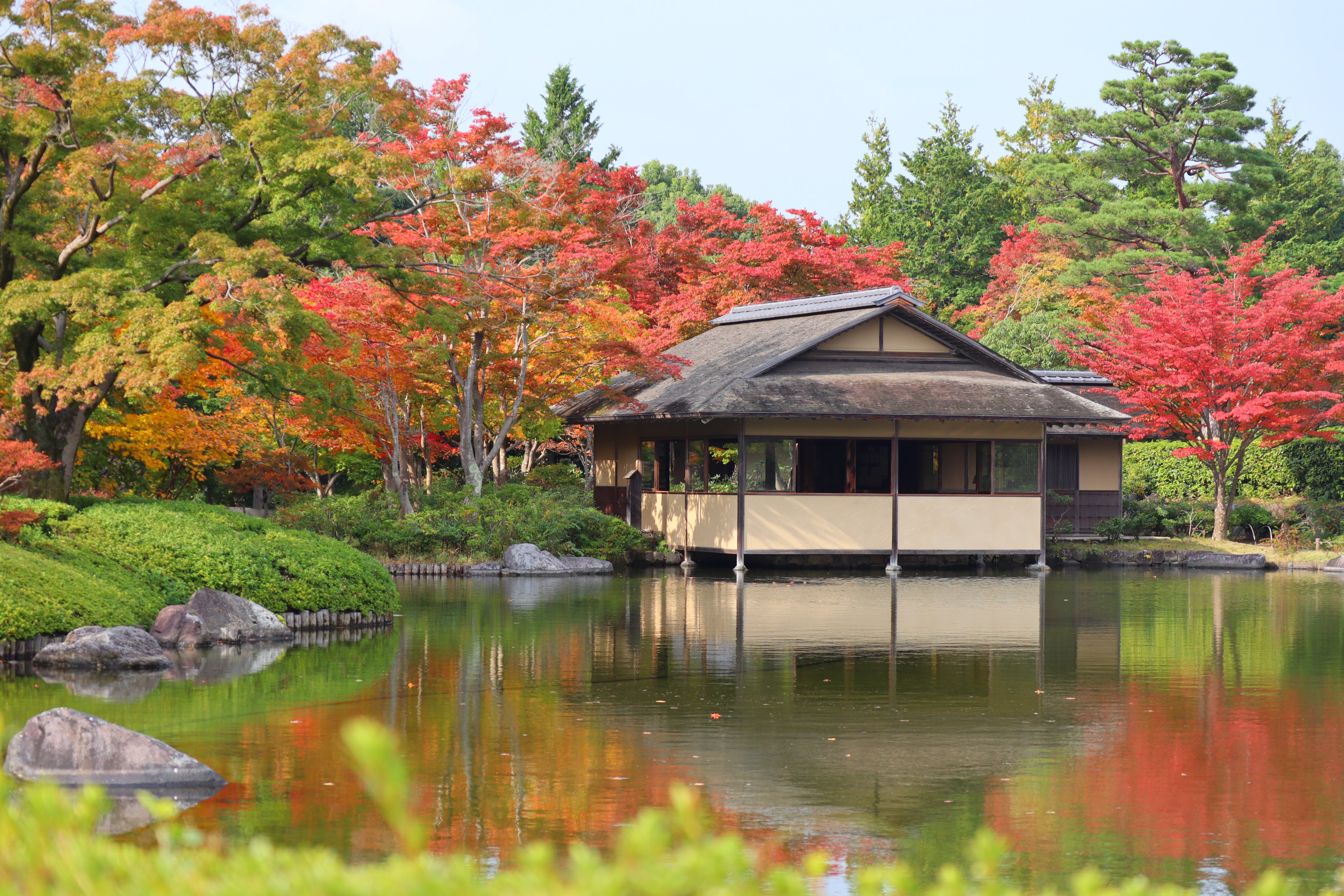 国営昭和記念公園 Showakinenpark Twitter