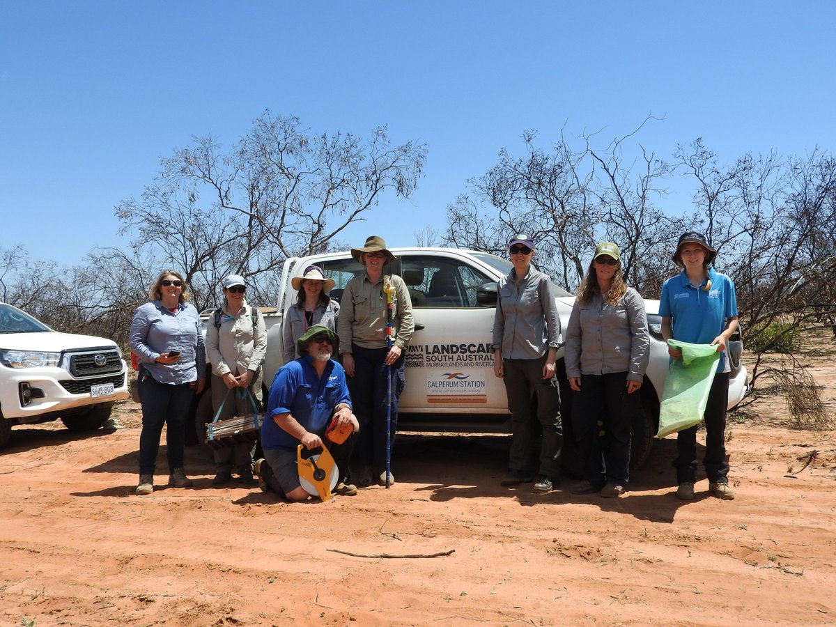 MER Network training  at Calperum Station (SA) with Murraylands and Riverland Landscape Board and Australian Landscape Trust <a href="/TERN_Aus/">TERN</a> @Envirogov <a href="/SuzanneProber/">Suzanne Prober</a> @SamNicol16 @BroadhurstLinda <a href="/MRLandscapeSA/">Murraylands and Riverland Landscape Board</a>