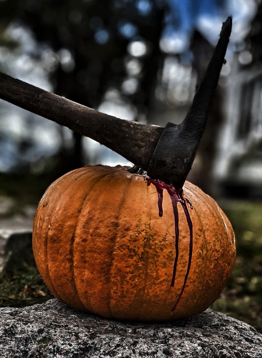 mbvfanfilm's tweet photo. Hope you all had a #bloody good #halloween2021 from all of us at Valentine Bluffs! 🎃⛏️💔 #HalloweenHavoc #horror @BFL42 @Zachseeks @theinstahorror @Troma_Team @sick_fx @nicolaikabana https://t.co/DI2MJ5aM0u