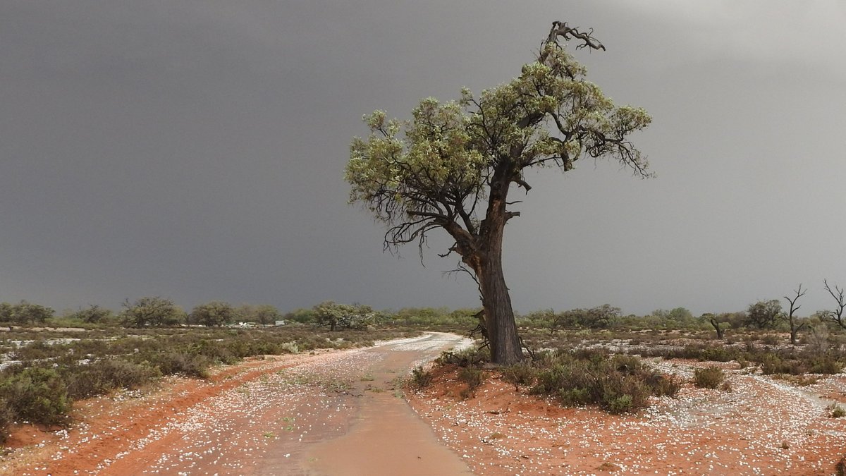 Rain, hail or shine! What a day for MER Network training and monitoring at Calperum Station (SA) last week. Our thoughts are with the growers and communities who were  impacted by the extreme weather.  <a href="/TERN_Aus/">TERN</a> @Envirogov <a href="/SuzanneProber/">Suzanne Prober</a> @SamNicol16 <a href="/MRLandscapeSA/">Murraylands and Riverland Landscape Board</a>