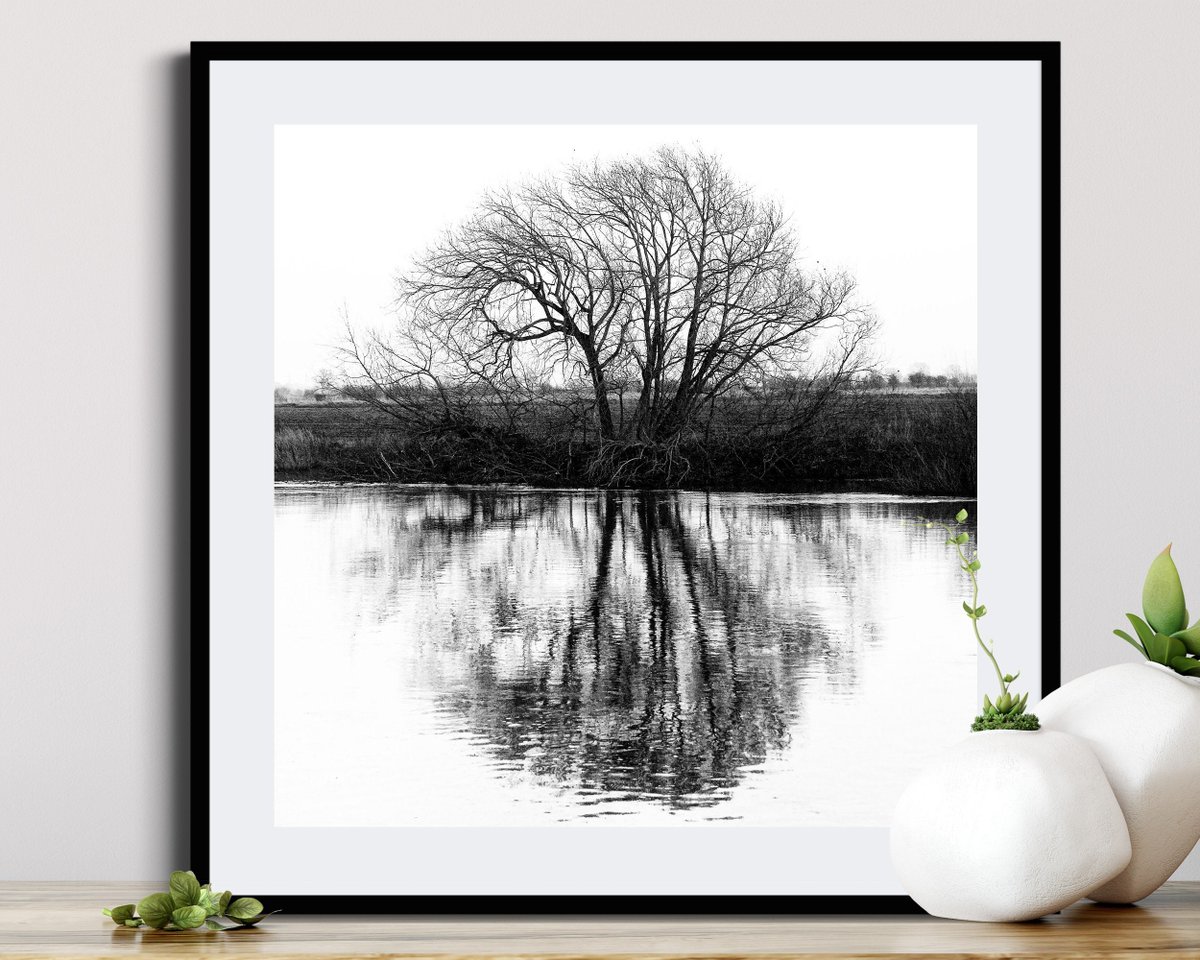 danscapephoto's tweet photo. REFLECTIONS - Mimimal Black and White Tree Photo, Square Wall Art, Tree Reflection in River, Landscape Photography, Nature Poster, Fine Art https://t.co/K4z7H1CdRr #NatureLovers #EtsyShop #TravelPhotography #Landscapes #CanvasLandscape https://t.co/KAaQmGKAIJ