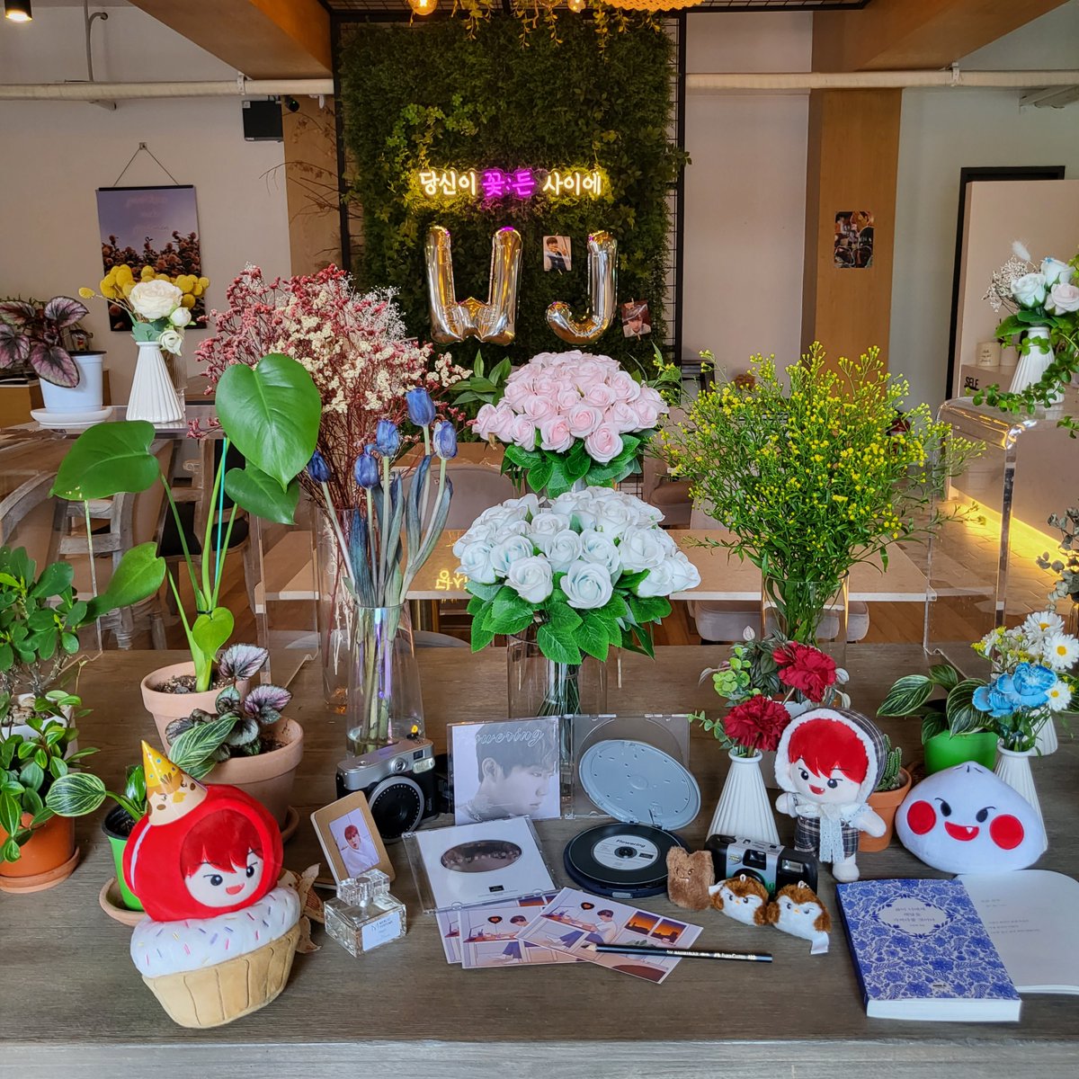 gamjangkong's tweet photo. #우진이의_만개한_스물셋
#flowering_23_WJ https://t.co/jO1DhzhDhB