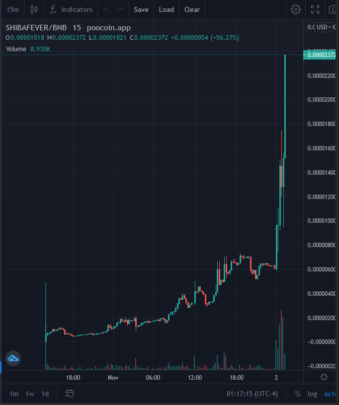 ShibaFever tweet media