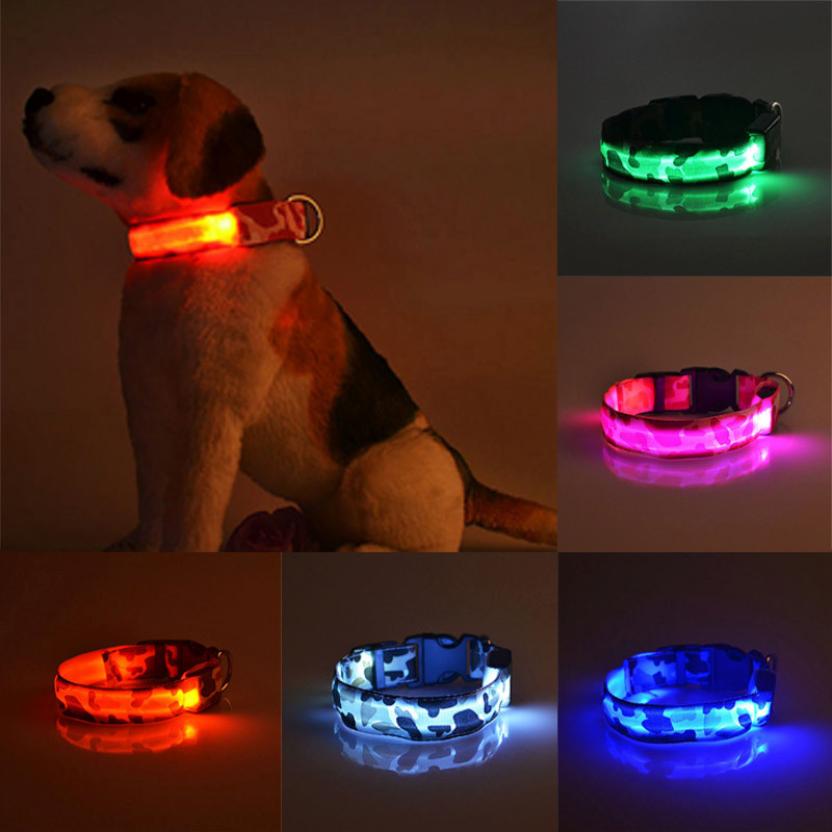 CAMOUFLAGE PET SUPPLIES LUMINOUS DOG COLLAR ($13.95)

✔️100% brand new and high qualit

To buy this dog collar, know more about it: bit.ly/3GFxI7v

#Thepawhaven #dogcollar #dogaccessories #PetShop #dogcollarbelt #Singapore