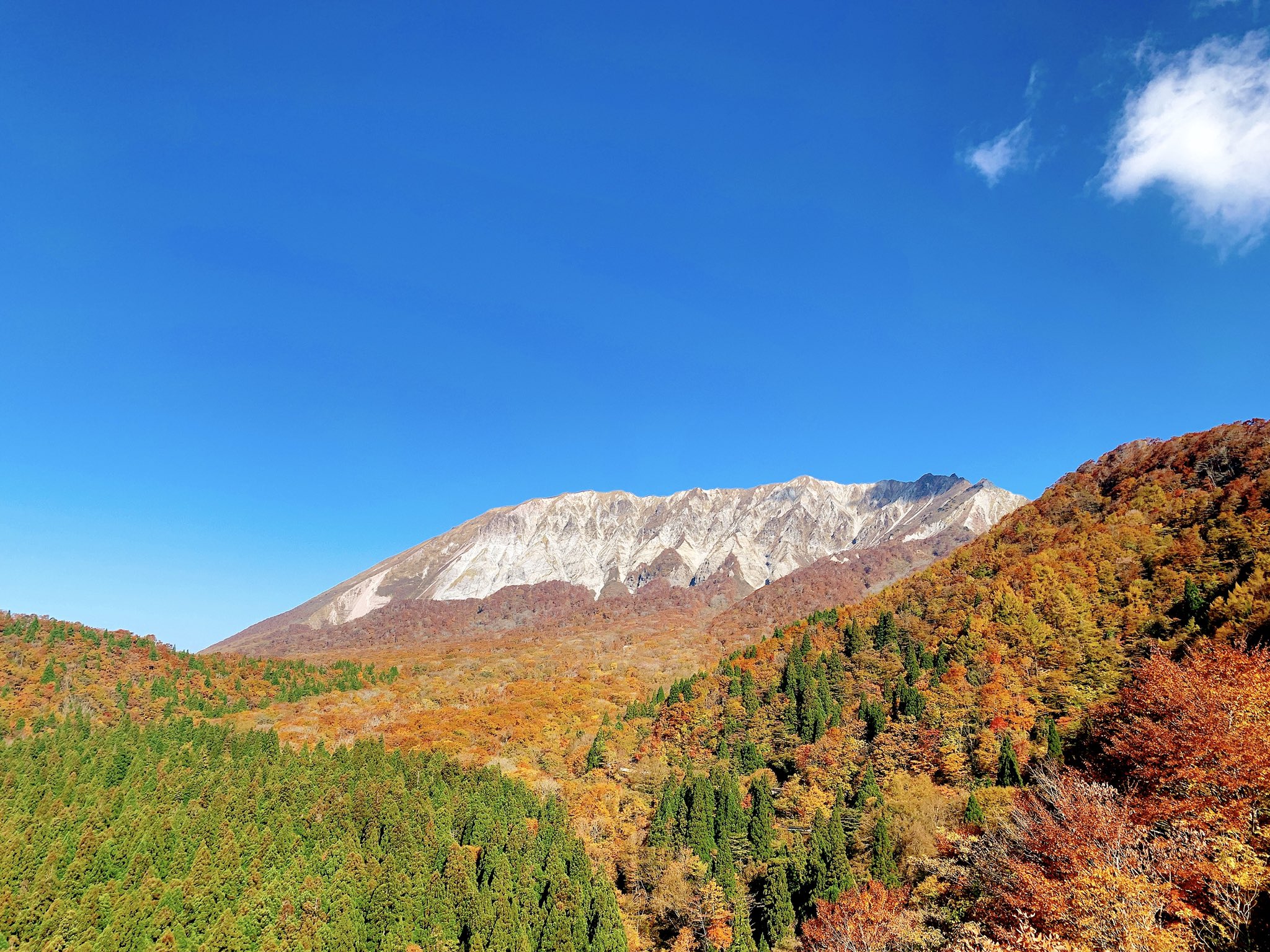 鍵掛峠 Twitter Search Twitter