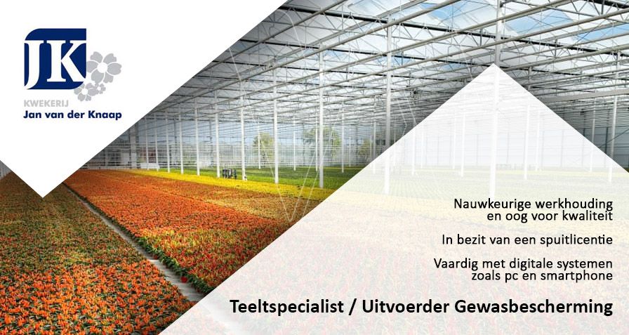 Bekijk #vacature Teeltspecialist / Uitvoerder Gewasbescherming bij Kwekerij Jan van der Knaap in Honselersdijk op Westlandwerk.nl via buff.ly/3mBqGZE