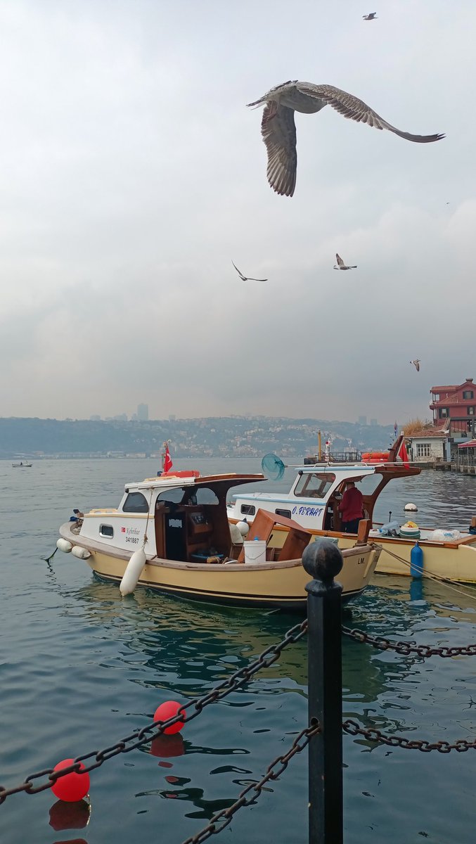 kuszeyno's tweet photo. İstanbul'da sonbahar... https://t.co/OkLqTX93Rp