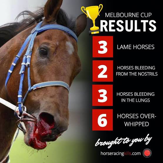 ThunderingOx's tweet photo. @bet365_aus #YouBetTheyDie #BanHorseRacing #NupToTheCup #HorseRacingKills #AnimalAbuse #WatchDominion #DontLookAway #WatchDominonChallenge
https://t.co/JxpSheTOlB
https://t.co/K2JX7pcCEB
https://t.co/3NkfVl1Ccy
https://t.co/FahPajEiZX https://t.co/2diQ8Wxbje
