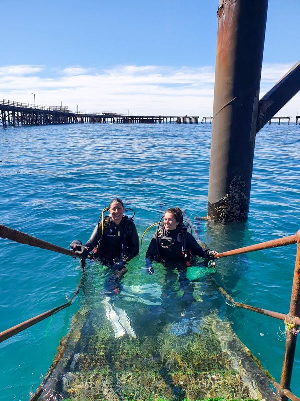 ErinPichler's tweet photo. First day of field work looked mighty fine! Collecting charismatic #SnappingShrimp for #ClimateChange research. Thanks @vitto_o21 and @LachieMcLeod_ for your diving expertise. @Sean4Sea @UniAdelSciences https://t.co/FVsgd2otpi