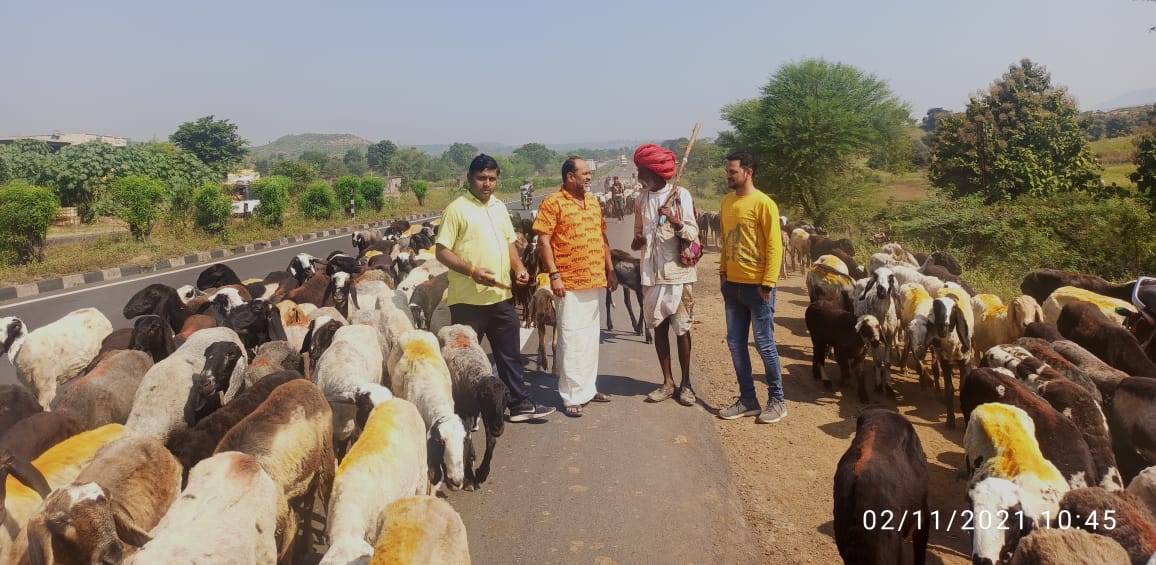 AnnasahebGaran5's tweet photo. अपनो का एक अजब अपनत्व ... आज कनेक्ट इंडिया स्वराज्य रैली के तहत मध्यप्रदेश के प्रवास के दौरान  जोधपुर राजस्थान के प्रवासी पशुपालकों से मिल उनकी समस्यों को समझने का एक मौका मिला ..नमन है मेरे पशुपालकों भाईयों के जिजीविषा की अनोखी प्रवृत्ति को । @MahadevJankarR @kumarsushilps https://t.co/Gcaq1le2cN