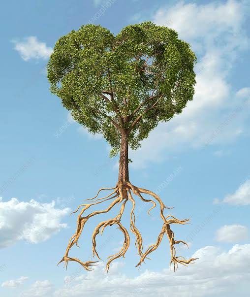 _chirajr's tweet photo. 1. Trees Regulate The Water Cycle · 
2. Trees Provide Jobs · 
3. Trees Are A Vital Habitat For Wildlife ·
4. They Improve The Soil Quality ·

I challenge @guyatu_tache
@koechvictor @MahariaStan @chowder_ke @Njoro_msafi
#PTTG https://t.co/hsXVaALYEV