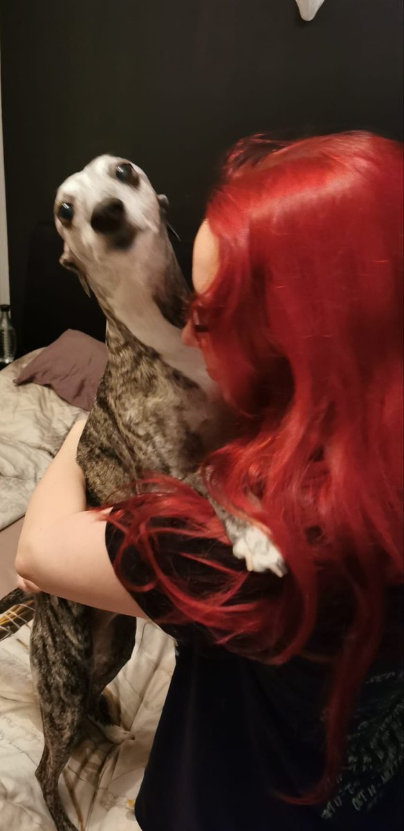 FrauFichte's tweet photo. Guten Morgen Twitter, da #twitch gerade #animalweek macht gibts bei #instagram heute Freyas Morgenroutine in der Story.Hier ein Ausschnitt:"Umarmen" muss jeden Morgen zuerst,normalerweise darf ich mir vorher nicht mal was anziehen ๐ Fรผhlt euch heute also alle vom Freyi umarmt. https://t.co/FlvMFtD04a