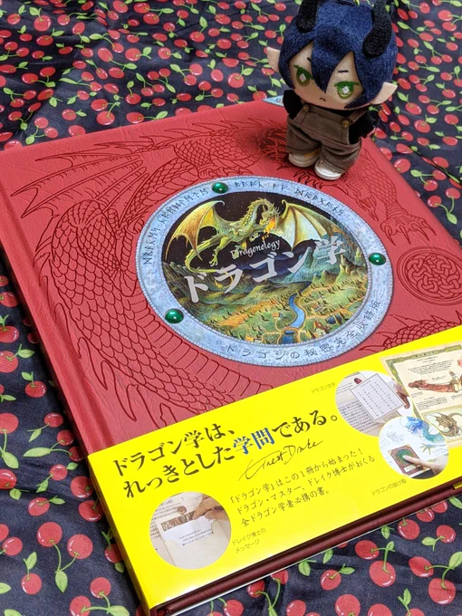 ドラコニア君にこちらの世界のドラゴン学の本を見せているとても熱心だ 