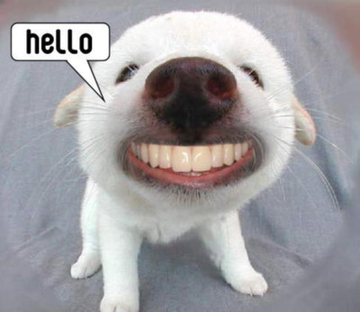 Ciaoooo cutie!!!!!! 👏🙌
#ciao #hello #funny #Viral #bitcoin #Like #LikeForLikes #CryptocurrencyNews 

Ciao-coin.online