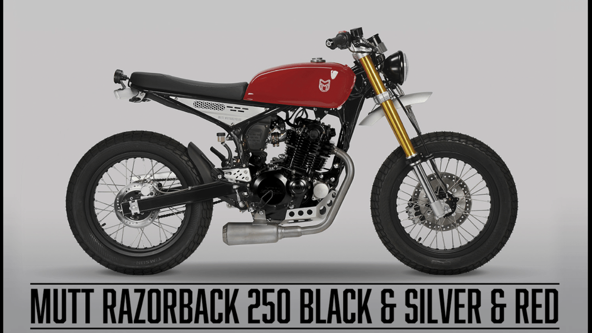 YukkuriBikeNews's tweet photo. 【RAZORBACK 250】715,000円
✅シート高:890mm
✅乾燥重量:140kg
✅タンク容量:10L
✅タイヤサイズ:18インチ
シートは高めですが、軽量なので恐怖感はないはず!
#バイク乗りと繋がりたい
#バイク初心者
#バイクのある生活
#muttmotorcycles
#razorback250
https://t.co/1QRSMUaGE7 https://t.co/PVqrcCmQ01