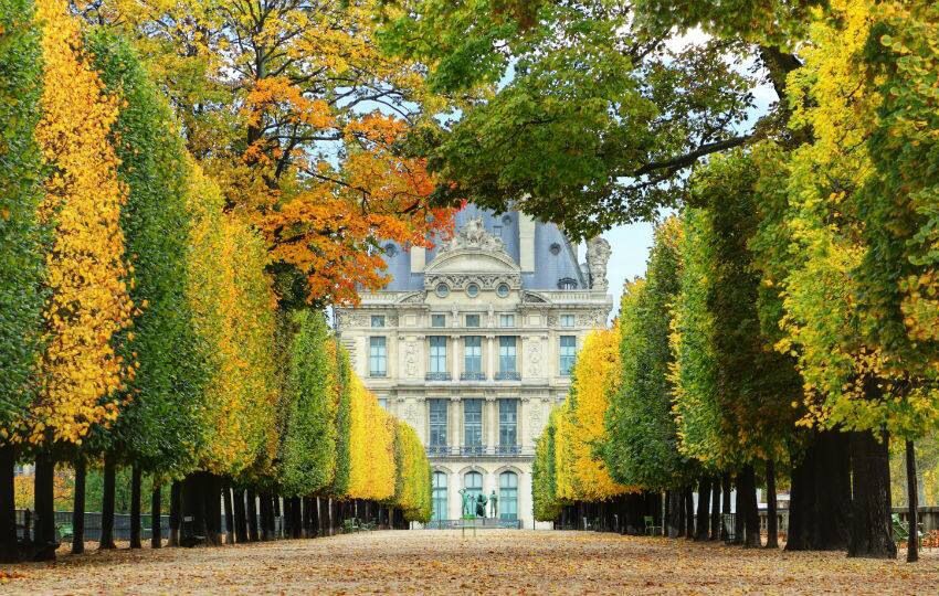 Jardins des Tuileries en automne. 
#Paris #photograghie Pinterest #MagnifiqueFrance