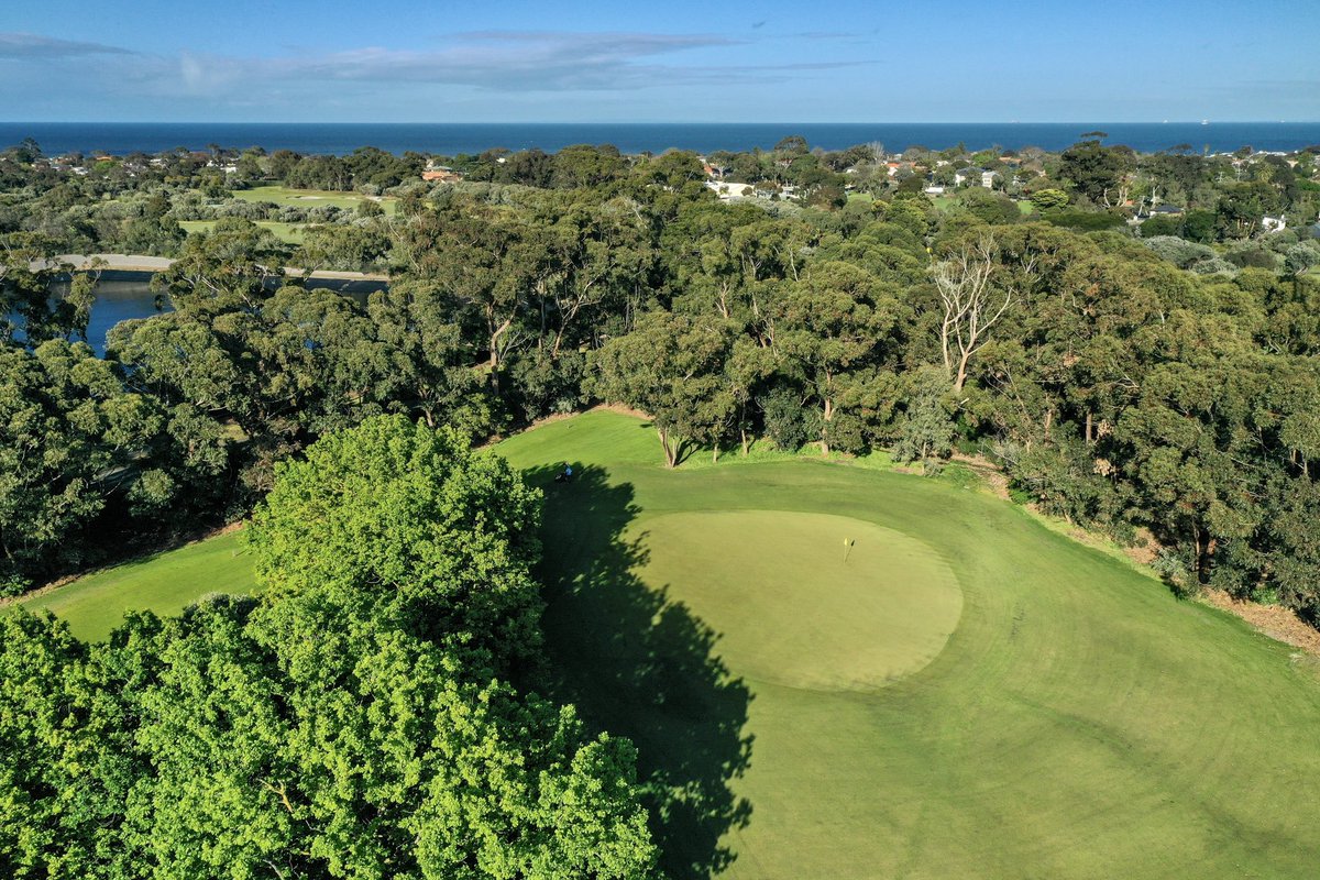 sandygolflinks tweet media