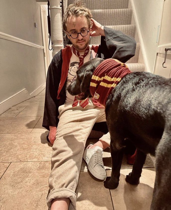 Tom Felton disfrazándose de Harry Potter por Halloween. Maravilloso ⚡️