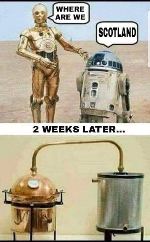 highginx1's tweet image. 