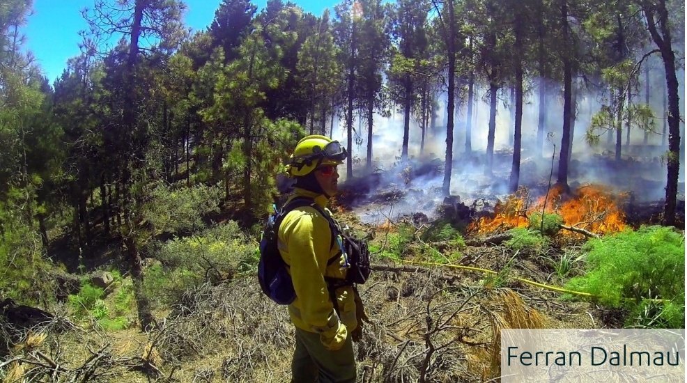 Interview by <a href="/elsa_pastor/">Elsa Pastor</a> to <a href="/ferrandalmau78/">Ferran Dalmau - Rovira</a>, MSc on Wildland Fire Science and Integrative Management, <a href="/Medi_XXI_GSA/">Medi XXI GSA</a> CEO. 

#ProyectoGUARDIAN @UIA_Initiative

uia-initiative.eu/en/news/zoomin…