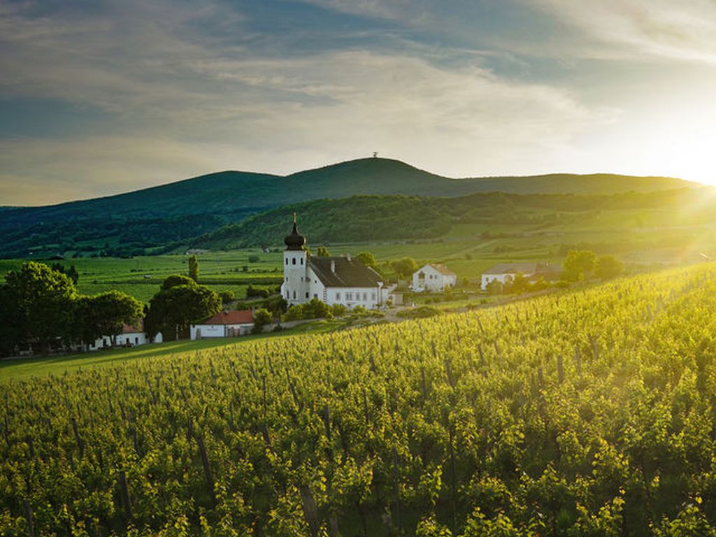 kwittauer's tweet photo. https://t.co/B3rdXxw1J8 #austrianwine #austrianwineusa #HeinrichHartl #kwselection https://t.co/aLTn2FqqJa