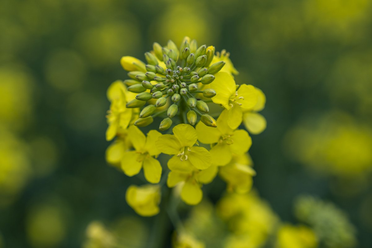 💡 Wist je dat we bijna 500 aangesloten locaties hebben die gecertificeerd zijn met het Green-Key label? 

Door te werken met het onafhankelijke Green-Key-label kunnen we onze opdrachtgevers garanderen dat de locaties met deze certificering daadwerkelijk ‘groen’ zijn.  
#greenkey