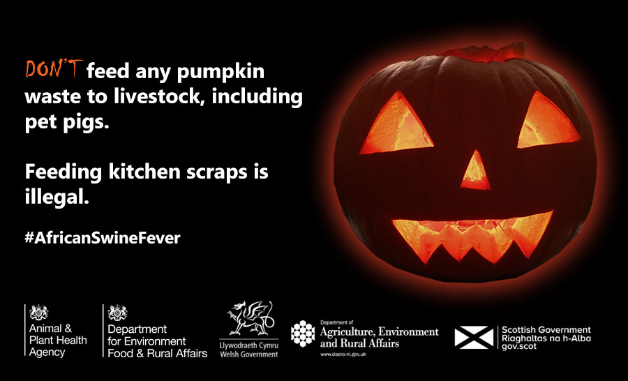 Leftover #Halloween #Pumpkins? Unless they were not carved in your house &amp; were carved using utensils that have never entered your kitchen please don’t feed them to your #Pigs. Make #PumpkinSoup or #Compost them to feed your garden. #AfricanSwineFever gov.uk/government/new…