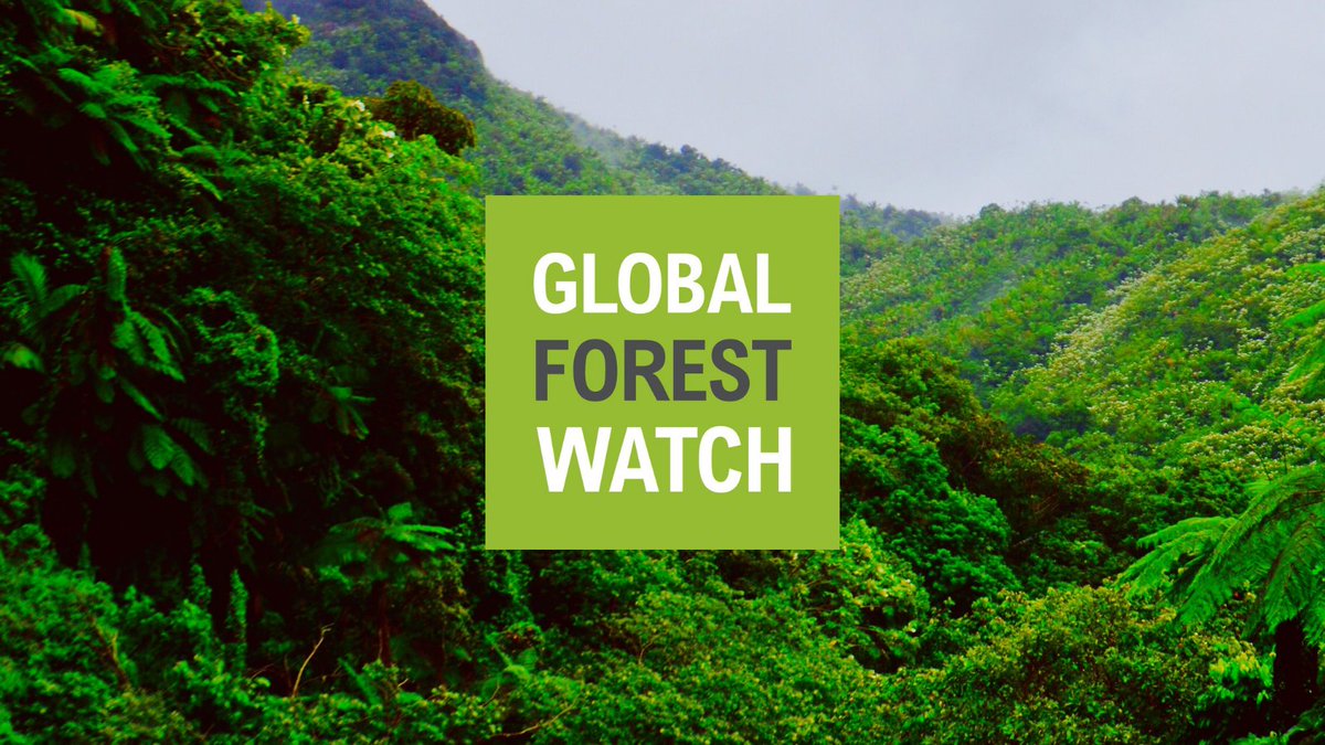 We are #hiring a  a Senior Software Engineer, responsible for providing day-to-day engineering as well as technical leadership &amp; vision for the shared backend infrastructure that powers WRI’s data platforms, such as <a href="/resource_watch/">Resource Watch</a>, GFW &amp; <a href="/WRIAqueduct/">WRI Aqueduct</a>: jobs.jobvite.com/wri/job/oFfGgf…