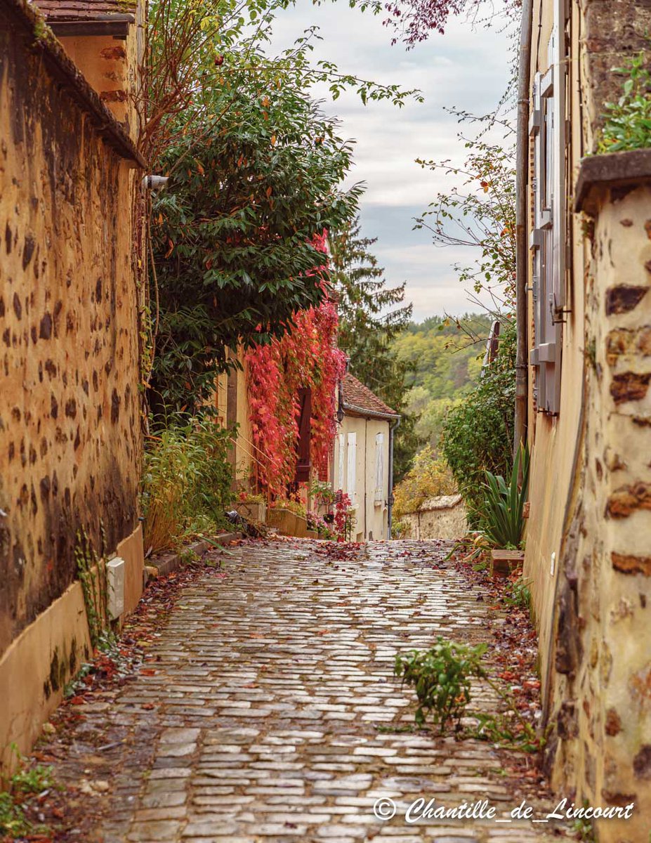 Les jolies couleurs de l'automne à Toucy, dans l'#Yonne. #bourgogne #tourisme #patrimoine #toucy <a href="/BFC_Tourisme/">En Bourgogne Franche-Comté</a> <a href="/F3Bourgogne/">France 3 Bourgogne</a> <a href="/YonneTourisme/">Agence Yonne Attractivité</a> @PuisayeaDuGenie <a href="/VieuxToucy/">VieuxToucy</a> <a href="/OT2CYT/">Chablis, Cure, Yonne & Tonnerrois</a>