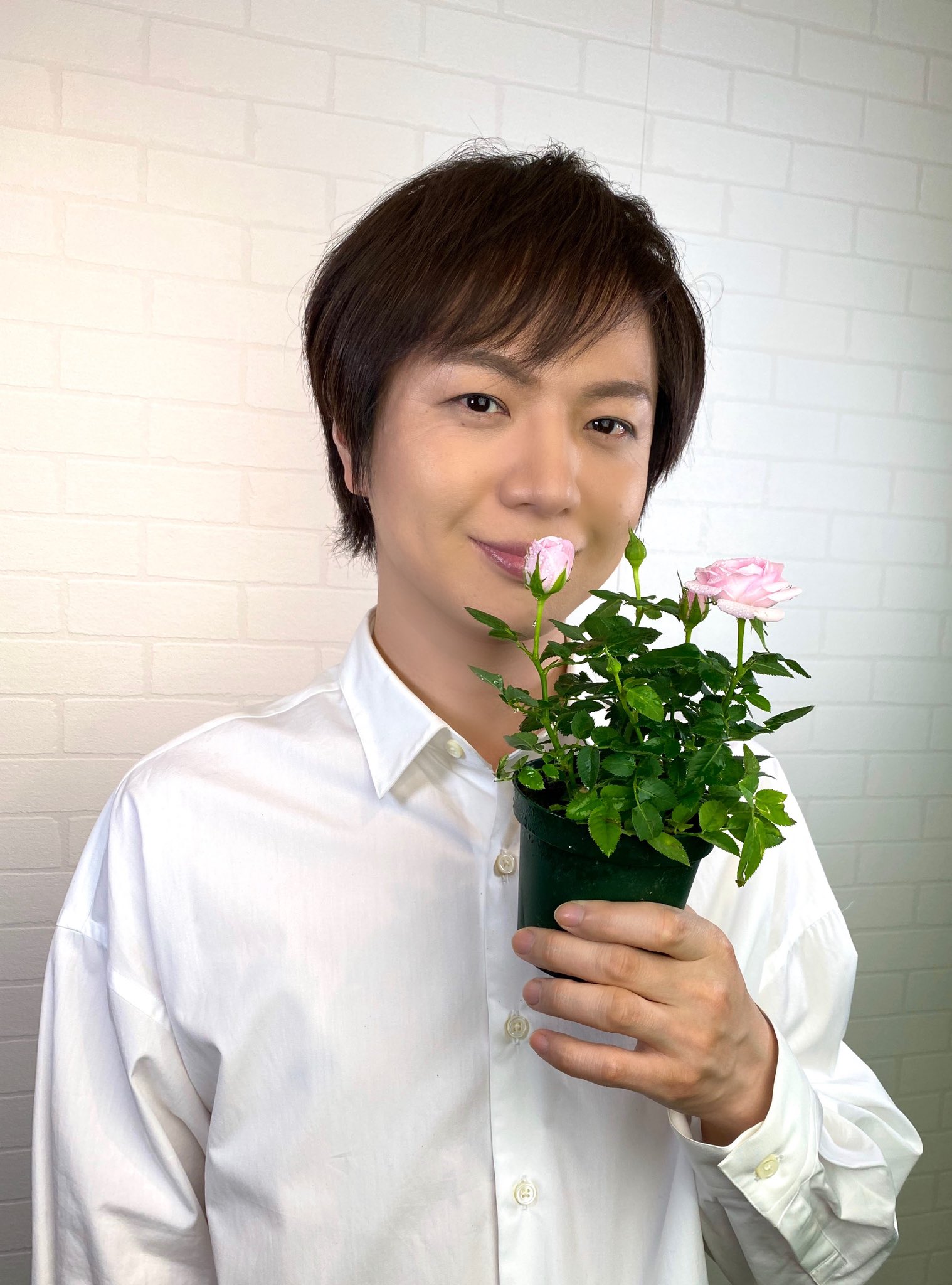 Twitter 上的 竹島宏スタッフ 公式 ミニバラ ピンク 花言葉は 愛を誓います ミニバラも色ごとの素敵な 花言葉がたくさんあります 皆さんへ永遠の愛を誓います 今日も１日お疲れ様でした ひろネット 花便り 花言葉 花 花を贈ろう 感謝 絆 花のある