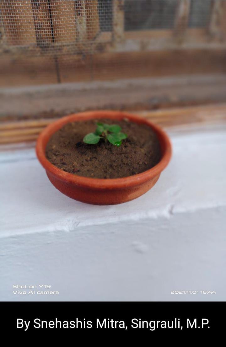 indienvironment's tweet photo. #mysmallgreendipawali
#environmentind
#cknkh
#indenvironment
#greendipawali https://t.co/kYRAgdiWhg