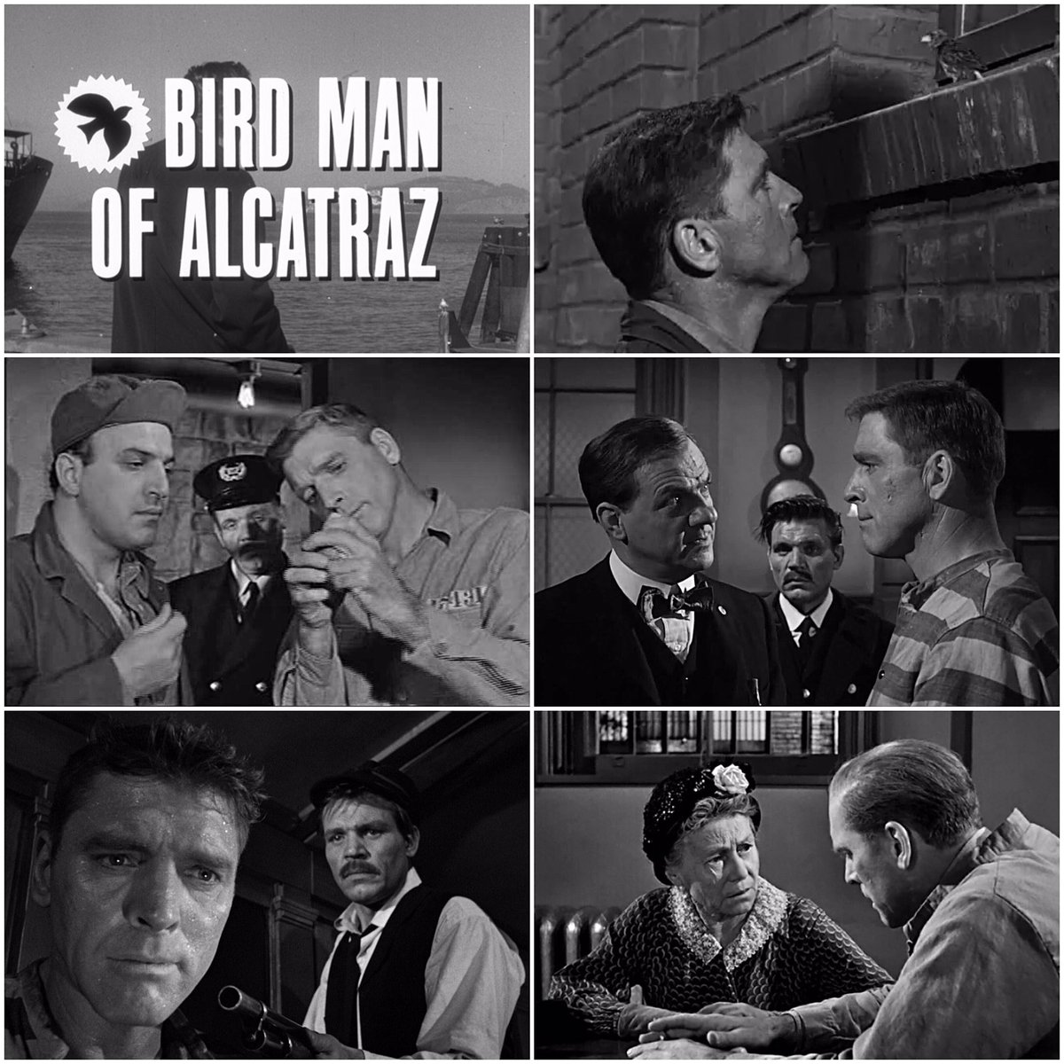 “BIRDMAN OF ALCATRAZ” (1962) dir. John Frankenheimer

#BurtLancaster
#TellySavalas
#KarlMalden 
#ThelmaRitter
#NevilleBrand

🎬#FilmTwitter🎥