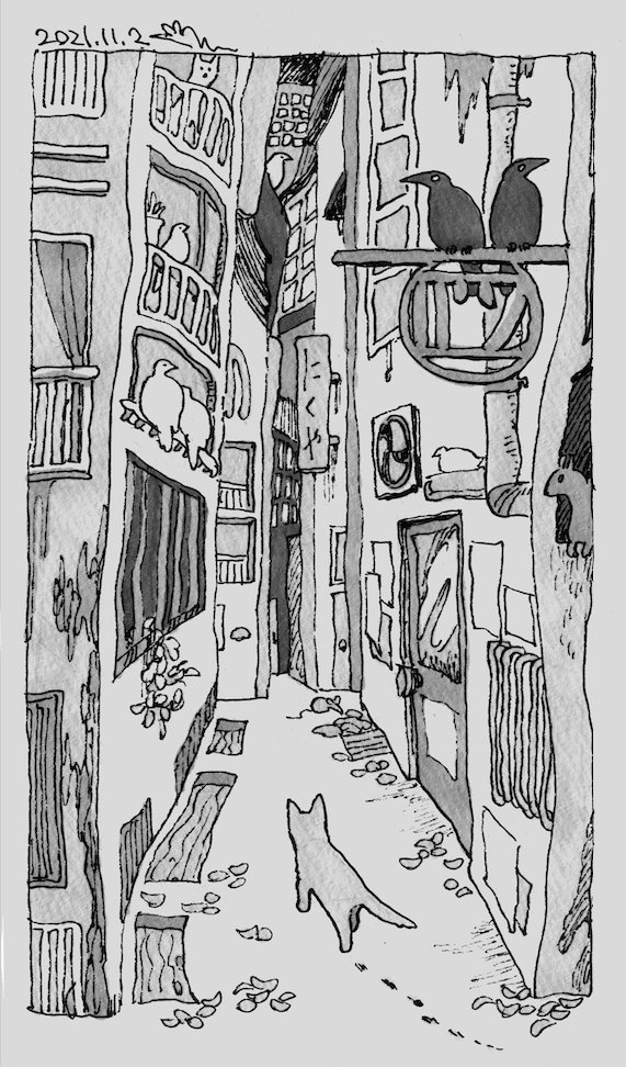 路地裏のねこ 