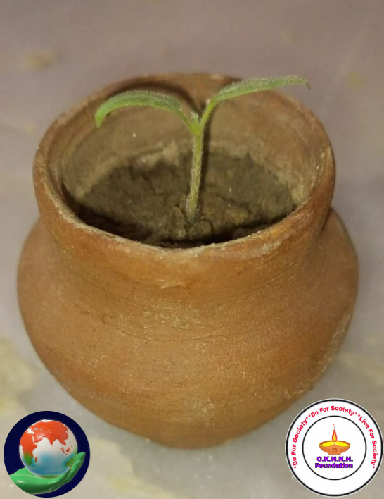 indienvironment's tweet photo. #mysmallgreendipawali
#environmentind
#cknkh
#indenvironment
#greendipawali https://t.co/3uHiiC3x2p