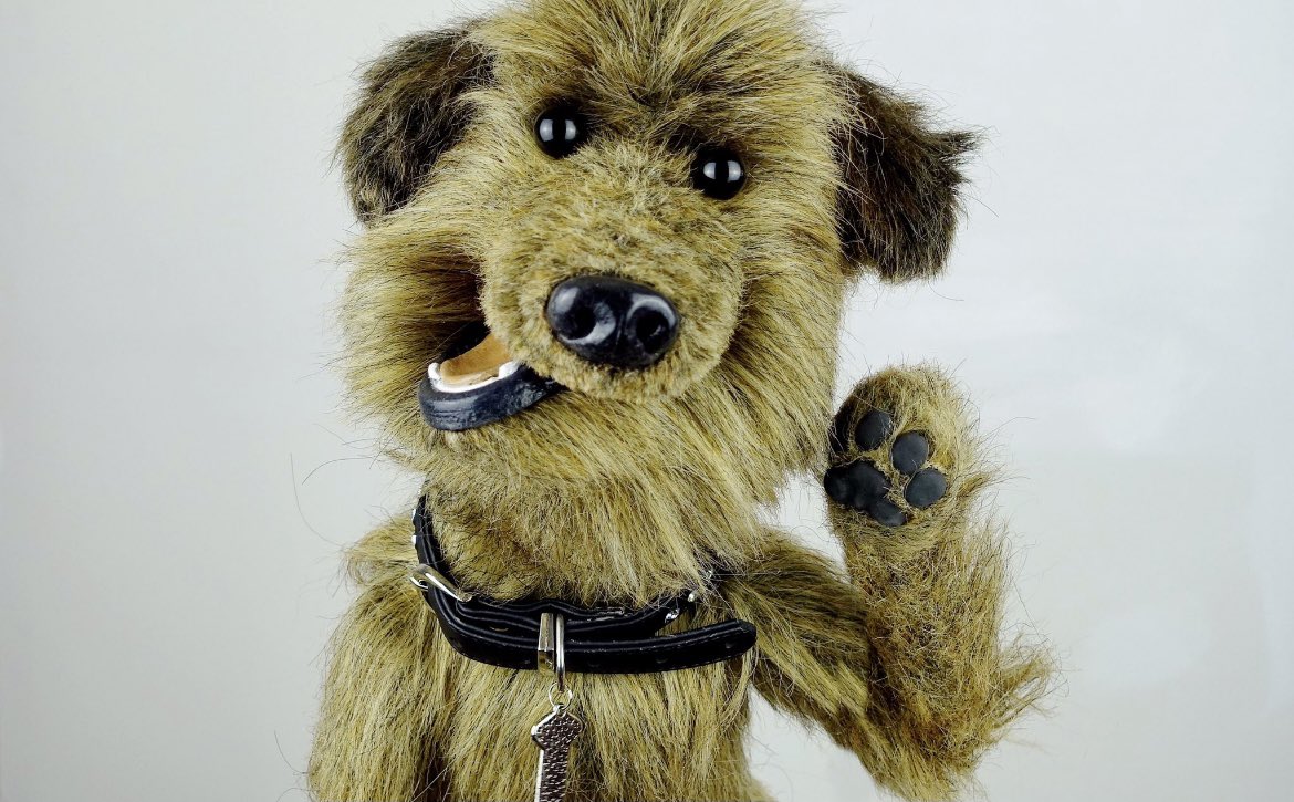 HackerTDog's tweet photo. Nothing ruins your weekend more than realising it’s actually Tuesday… 

#tuesday #tuesdaymotivation #nottheweekend https://t.co/SpX1ukMm32