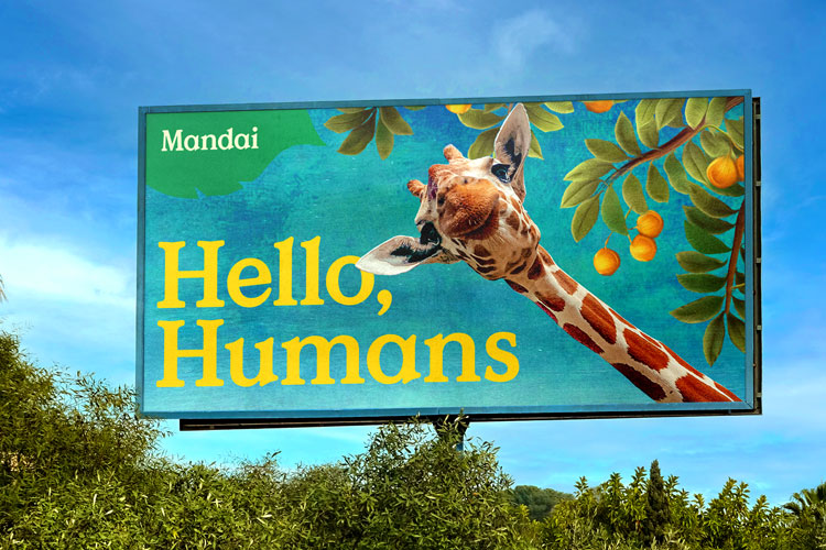 Design_Week's tweet photo. The rebrand of a Singapore wildlife group aims to put a spotlight on biodiversity: https://t.co/rPVwbZQlvH https://t.co/czoOFYGGdn