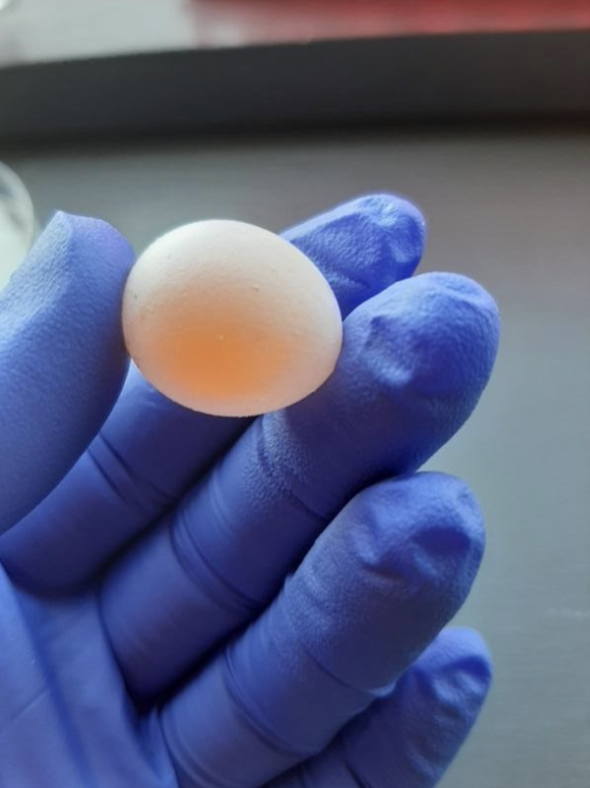London_NERC_DTP's tweet photo. High #HatchingFailure rates can impact conservation programmes working to help threatened species recover. In my PhD, I hope to increase our understanding of why eggs fail, working with conservation programmes to apply what we learn to help optimise management interventions. https://t.co/ahQ5Sj9Z3I