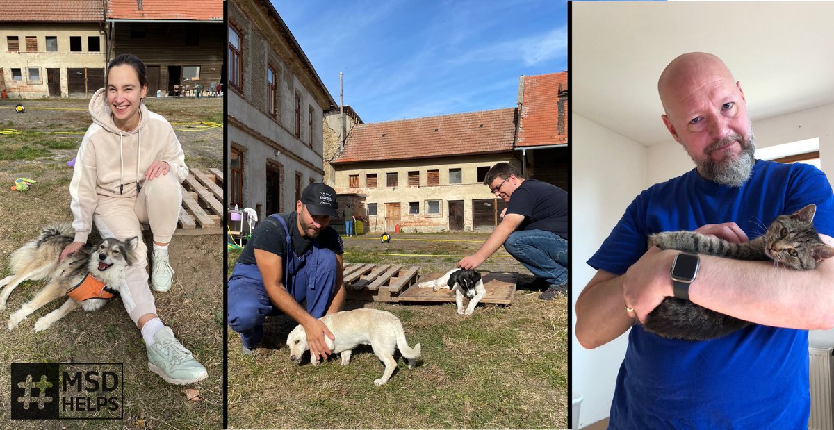 dlted_03's tweet photo. Cuteness alert! Our Global End User Services team spent a day #Volunteering at Cool Critters Animal Sanctuary helping with abused, neglected and handicapped animals. Main goal was to make sure, that every animal got all the hugs and cuddles they needed. #MSDHelps https://t.co/cThpu6jBEn
