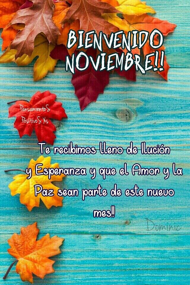 MolLissette's tweet photo. https://t.co/o4uFDhk9jf