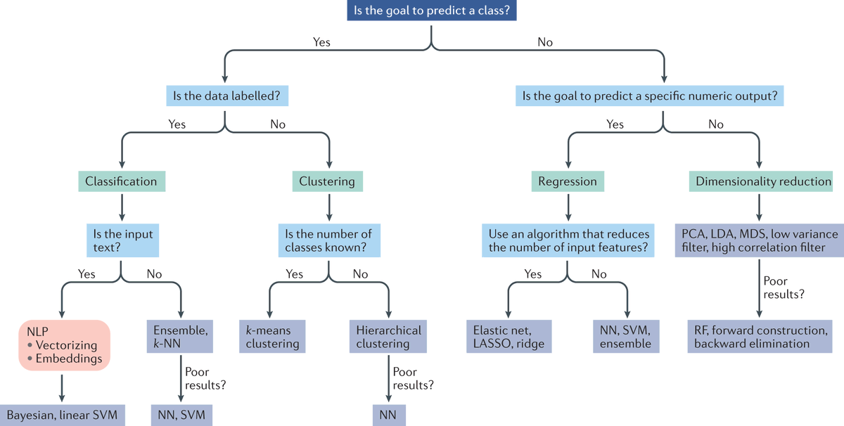 NatRevRheumatol tweet media