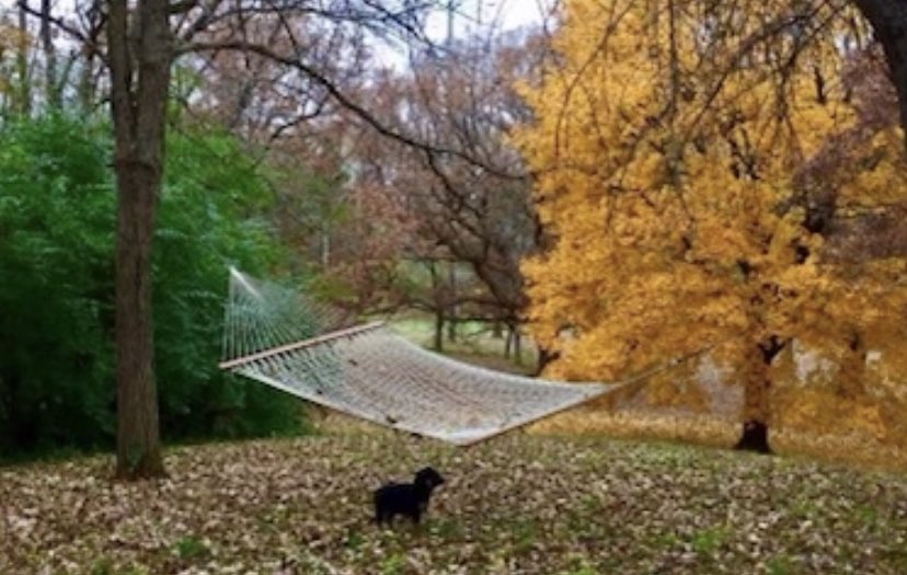 DrPeteMarcelo's tweet photo. #Fall 

#www.drpetemarcelo.org #anxiety
#health #stress #counseling #therapy  #mentalhealth #marriagecounseling #depression #mindfulness #psychologist #cbt #Huntley #il #Dr Pete Marcelo Psychologist and Counseling Services of Huntley #60142 https://t.co/GObn4WxTzC