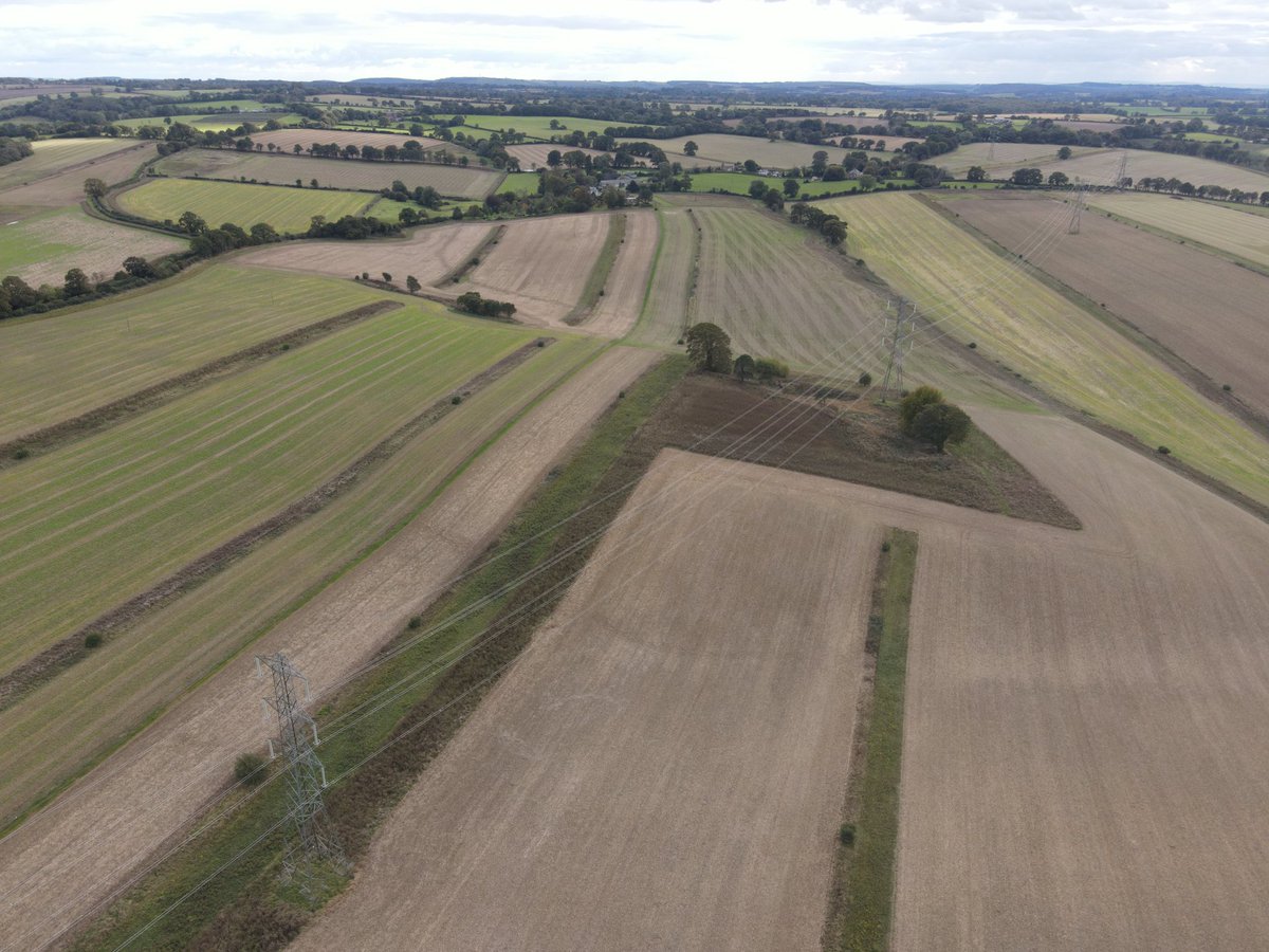 fbuner's tweet photo. This 📷 shows the scale of #agrienvironment measures needed to turn around the decline of #farmlandbiodiversity. Red-listed #farmlandbirds have increased by an average 60% in this area since 2010. If you think we need more of this, retweet. @PARTRIDGE_NSR #Rotherfielddemosite https://t.co/Ad6dIyz7FW