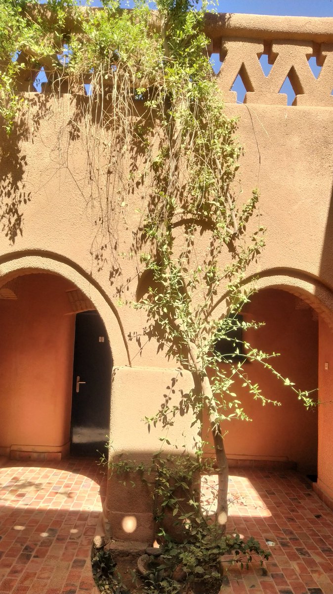 oumou_kane's tweet photo. Une autre perle de #Agadez c'est l'auberge #Azel. 
Une agréable et charmante résidence, en matériaux locaux,dans son écrin de bougainvilliers qui offre ombre et fraîcheur aux visiteurs et aux résidents. 
#AgadezTrip #VisitNiger https://t.co/MLjMCnpb8r