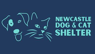 Over the festive period, we are donating to Newcastle Cat and Dog Shelter. Please see their Amazon Wishlist - lnkd.in/d2WKxJT6

We are also collecting in our office on Reception so if you'd prefer to drop in any donations, we'll be passing them on🐱🐶