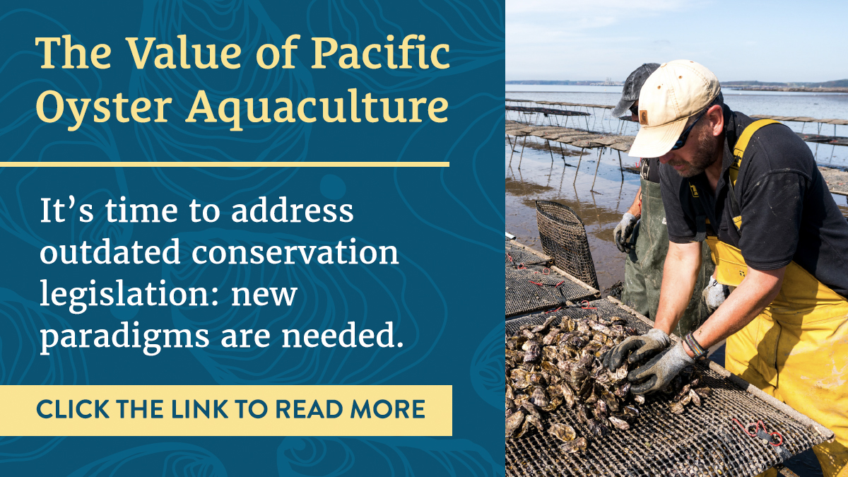 Shellfish Association of GB tweet media