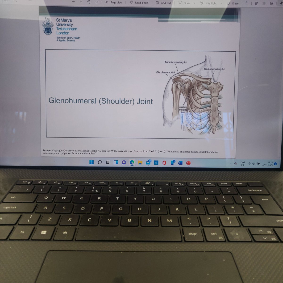 Johnson_LJ1's tweet photo. ...And so it begins! UL anatomy! @YourStMarys https://t.co/dRTrV8RCfs